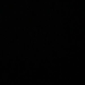 Meet your Posher, Ronny